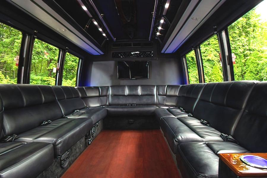 20 PASSENGER LIMO VAN Photo