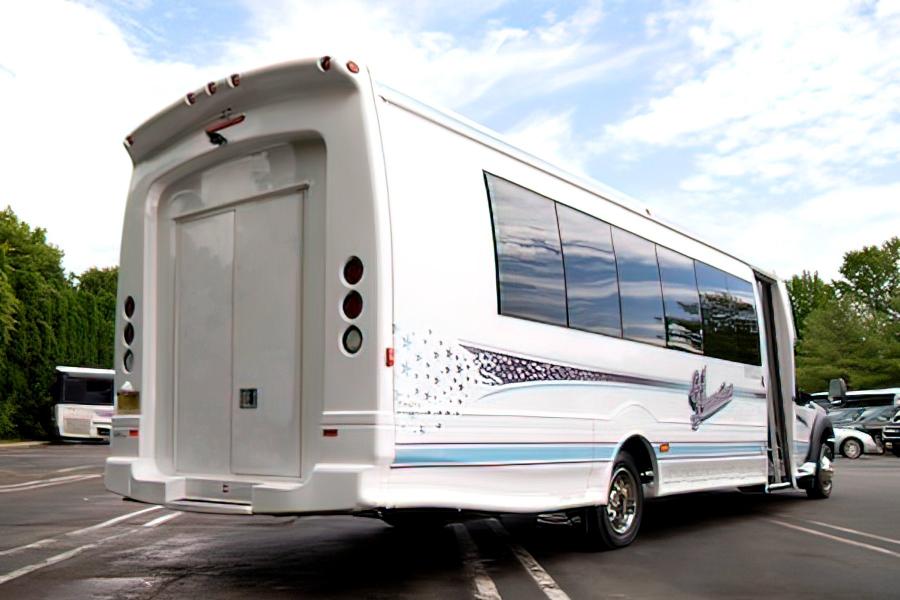 20 PASSENGER LIMO VAN Small Photo (19)