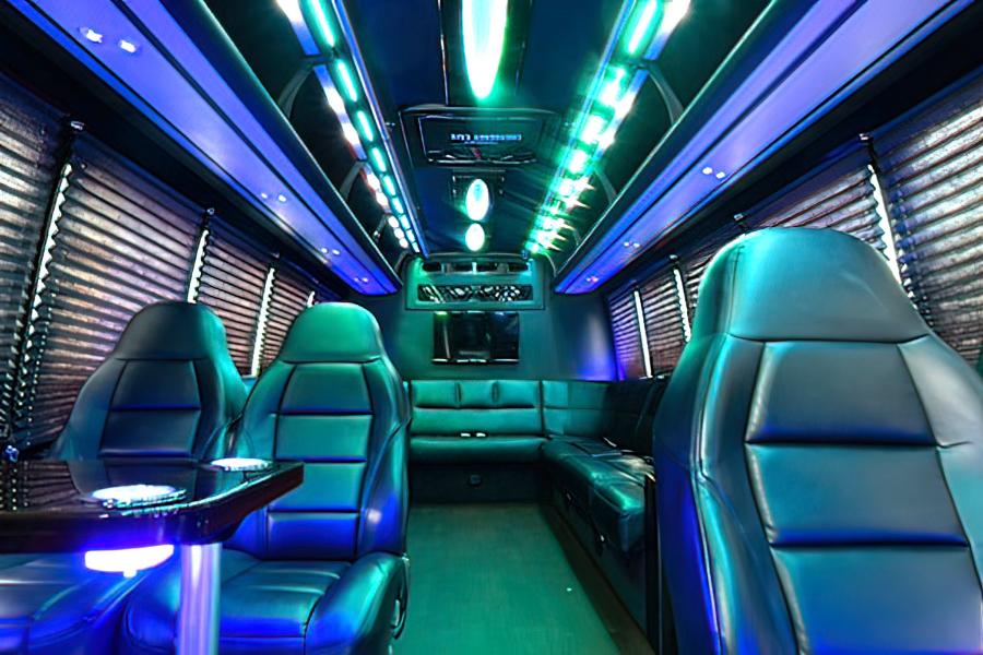 20 PASSENGER LIMO VAN Small Photo (19)