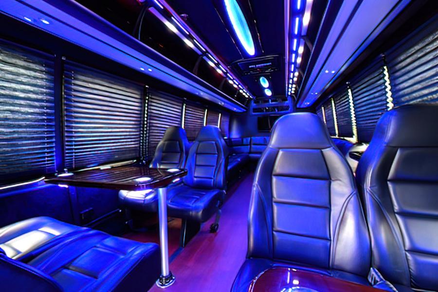 20 PASSENGER LIMO VAN Small Photo (19)