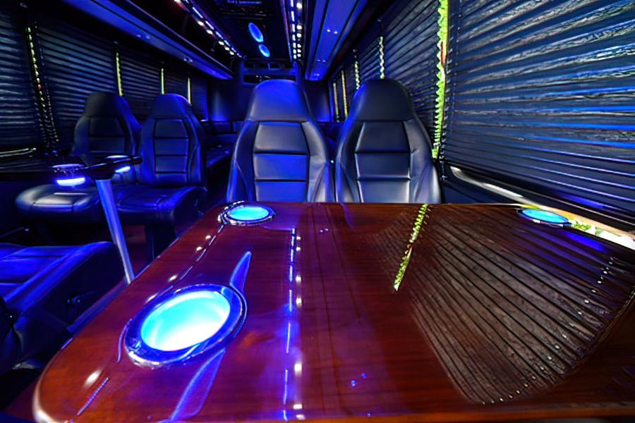 20 PASSENGER LIMO VAN Small Photo (19)