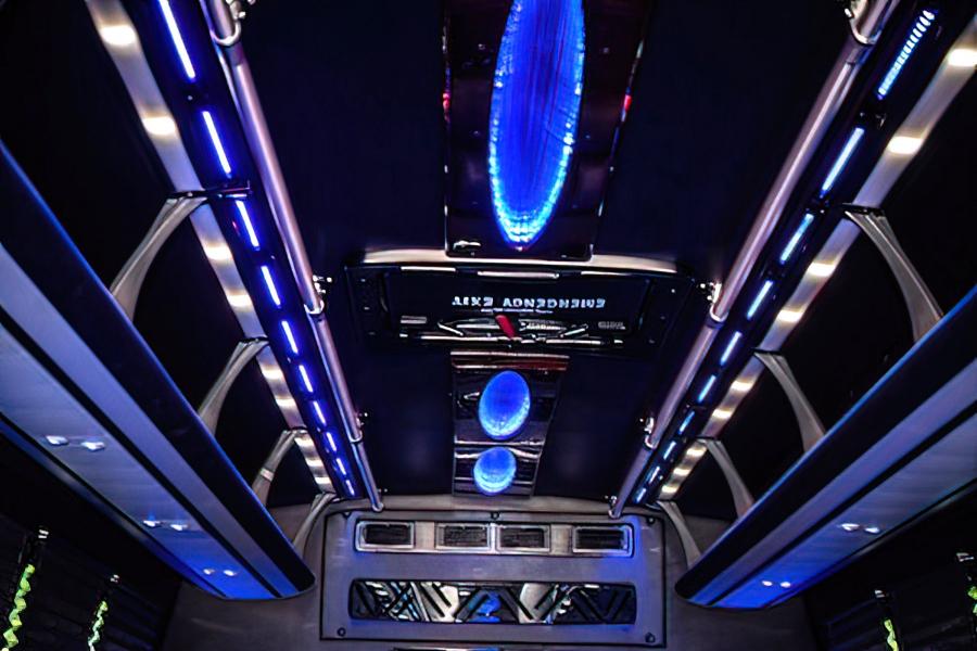 20 PASSENGER LIMO VAN Small Photo (19)