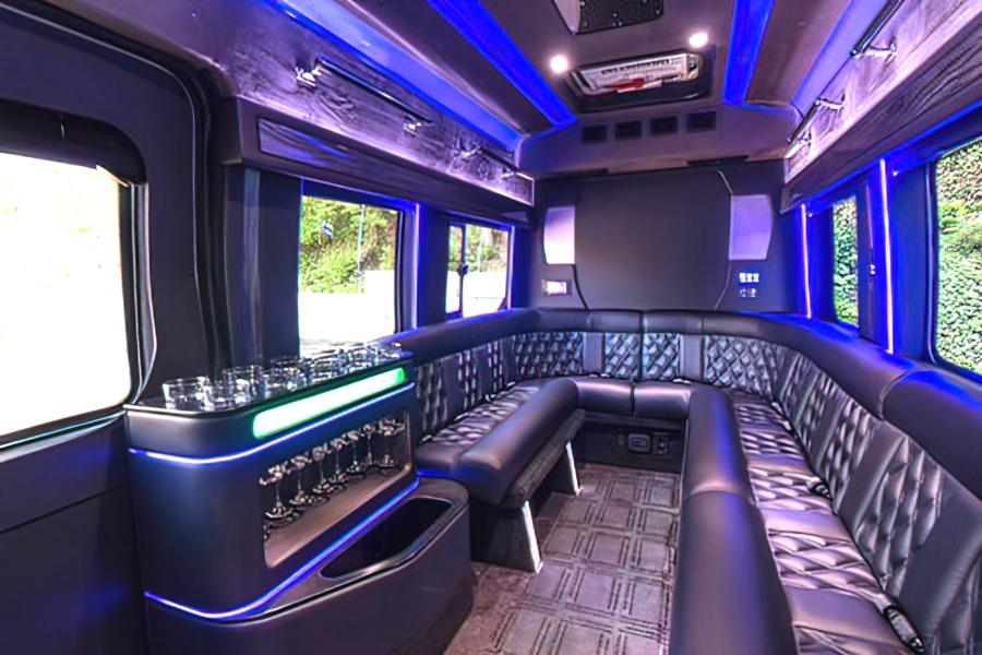 12 PAX Mini Party Bus Photo