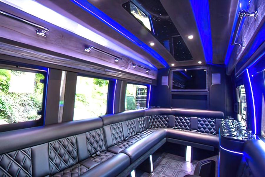 12 PAX Mini Party Bus Small Photo (19)