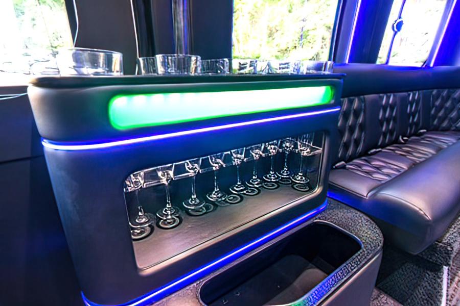 12 PAX Mini Party Bus Small Photo (19)