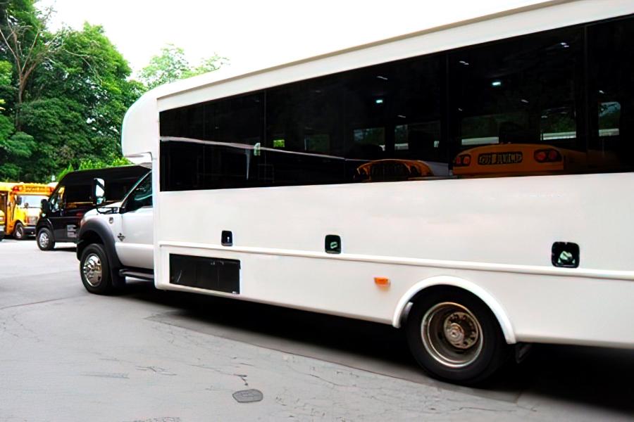 MINI COACH 29 PAX Photo