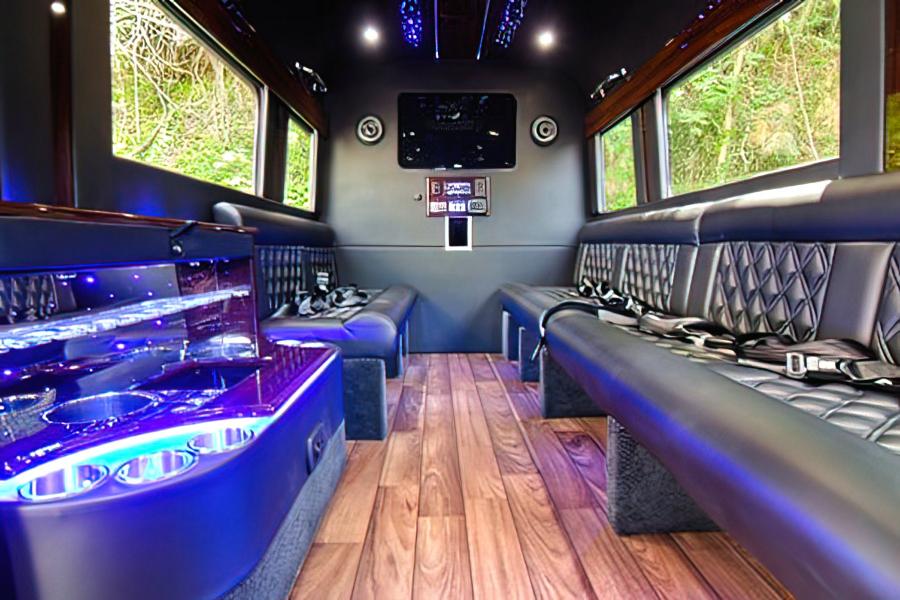 Mini Party Bus 12 PAX Photo