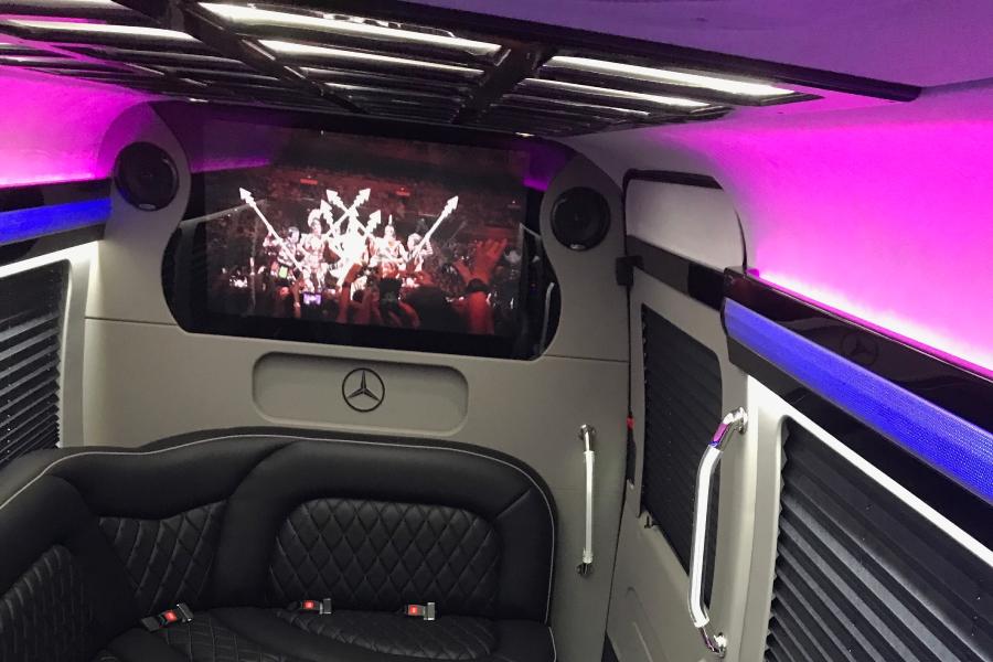 13 PAX Sprinter Limo Small Photo (19)