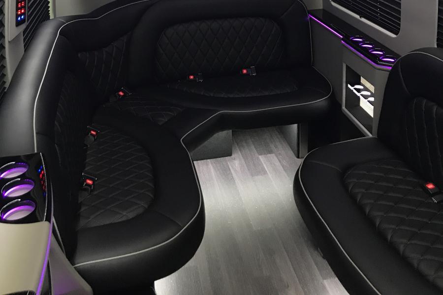 13 PAX Sprinter Limo Small Photo (19)