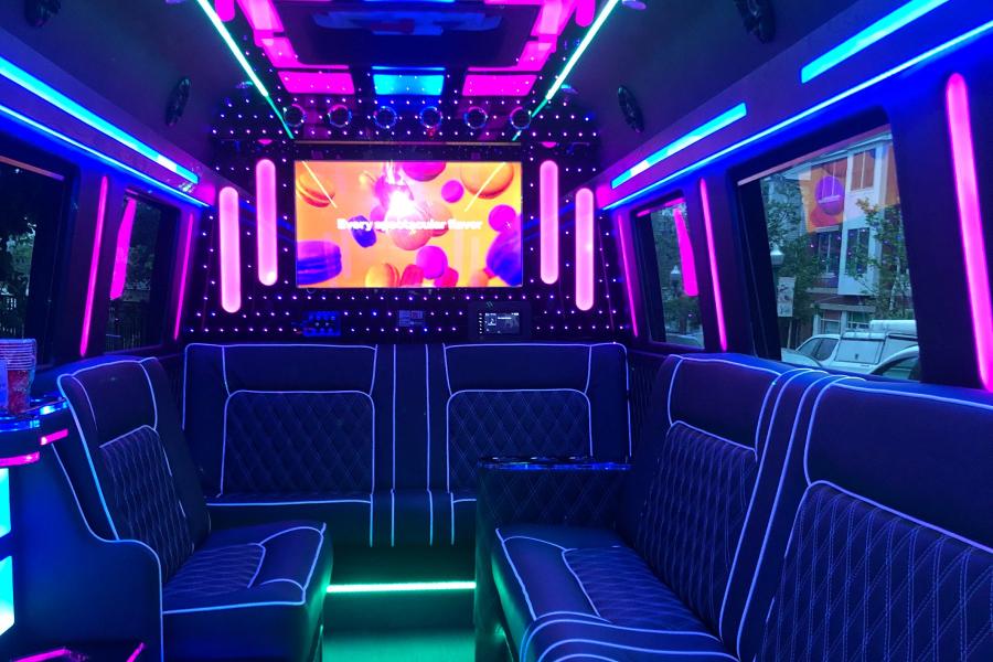 15 Passenger Sprinter Limo  Photo