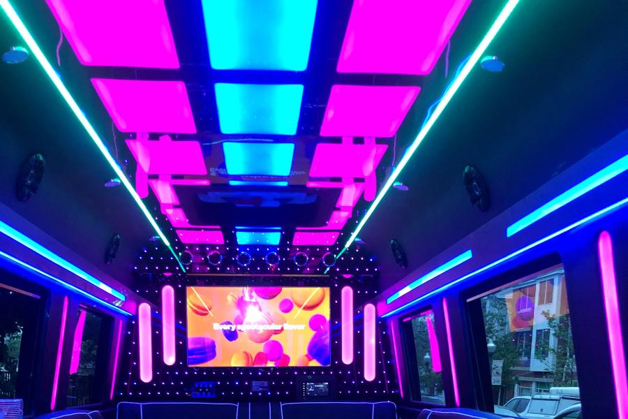 15 Passenger Sprinter Limo  Small Photo (19)