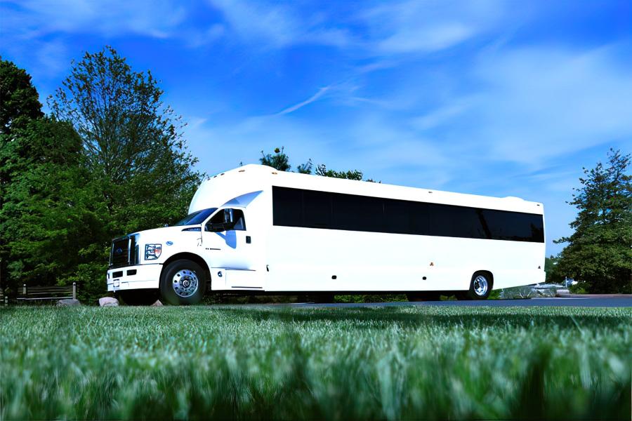 40 PAX PARTY BUS Small Photo (19)