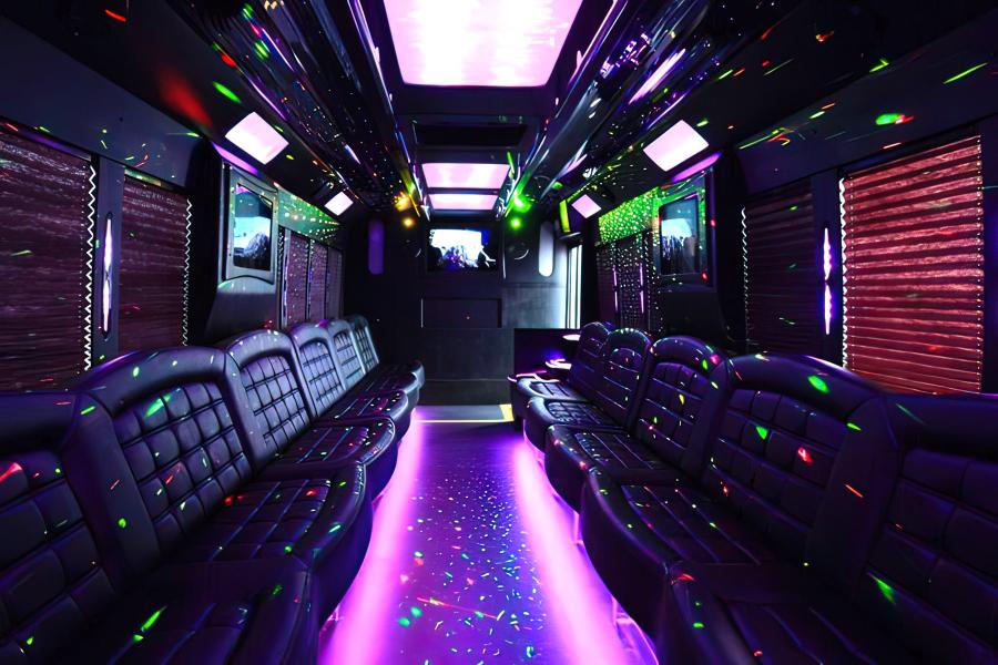 40 PAX PARTY BUS Small Photo (19)