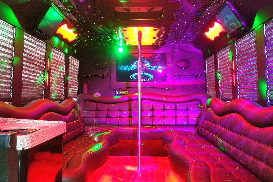 20 PAX Limo Party Bus  Photo