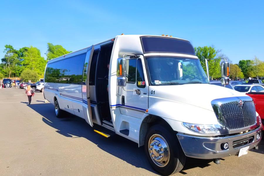 30 PAX Mega Party Bus  Small Photo (19)