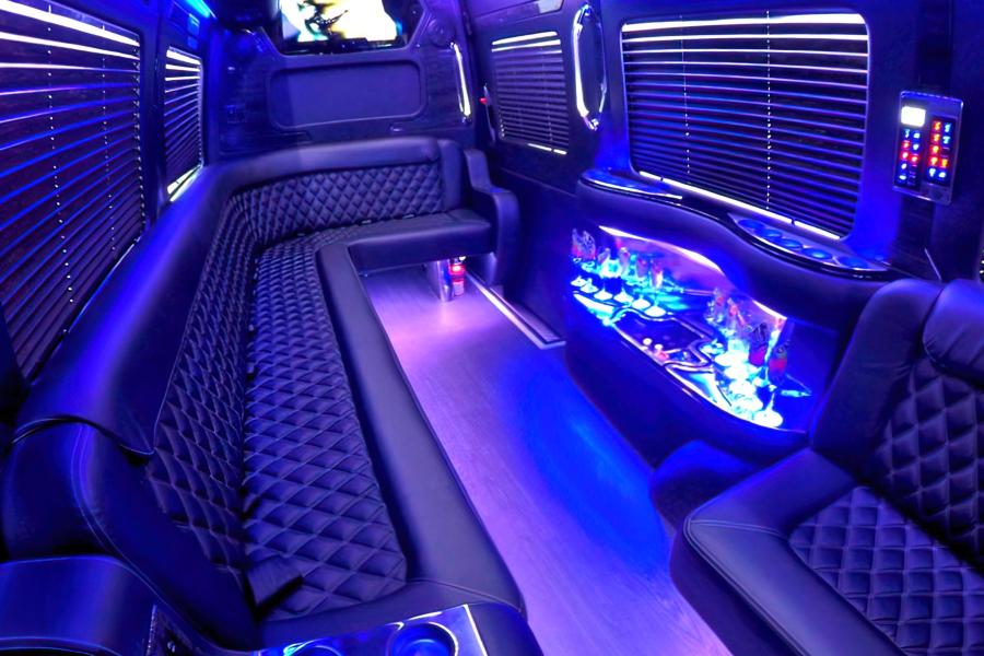 14 PAX Party Bus  Photo