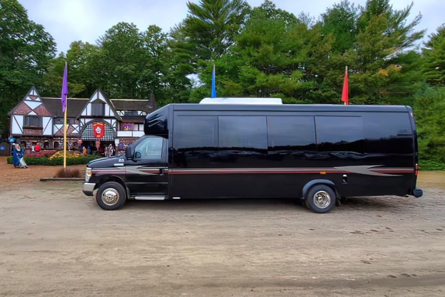 24 PAX Party Bus  Small Photo (19)