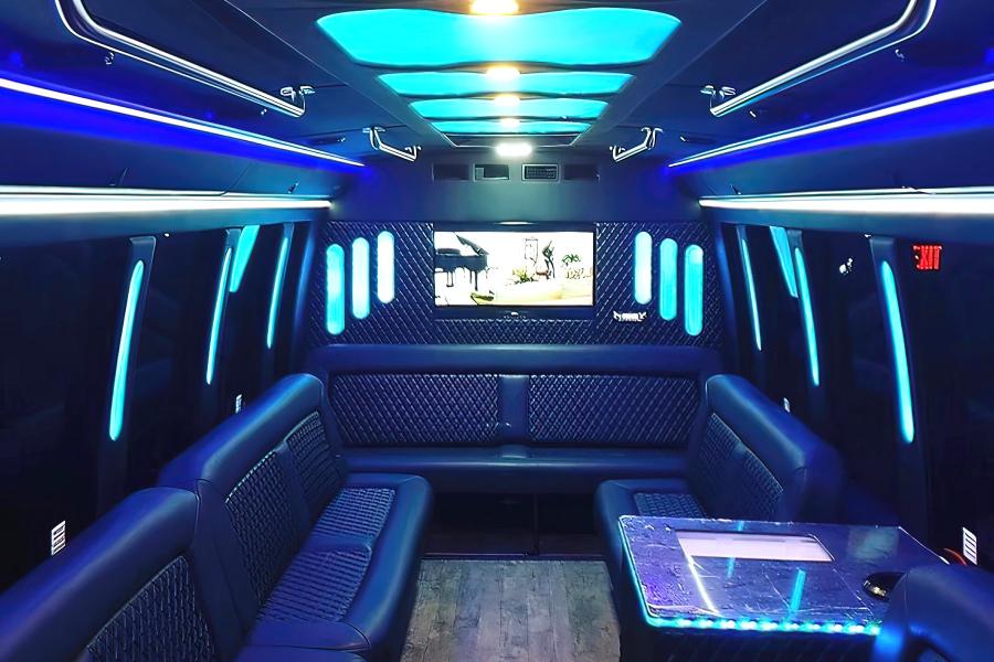 24 Passenger Party Bus Small Photo (19)