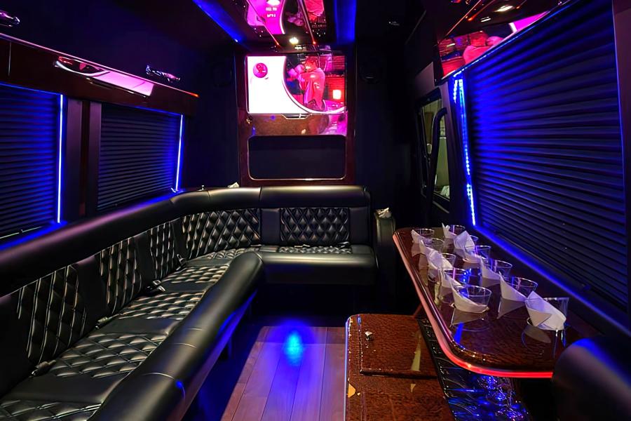10 PAX Party Bus Photo