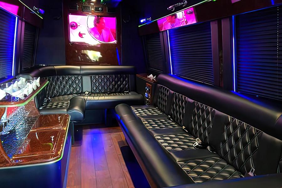 10 PAX Party Bus Small Photo (19)