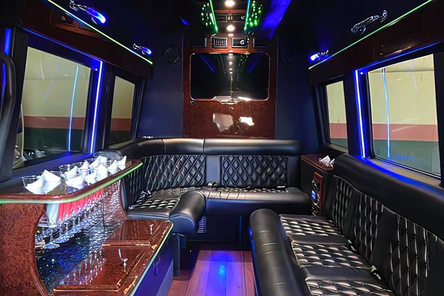 10 PAX Party Bus Small Photo (19)