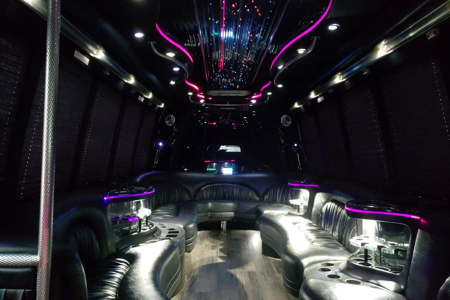 14 Passenger Party Bus Small Photo (19)